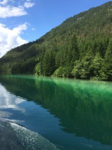 IMG_7145